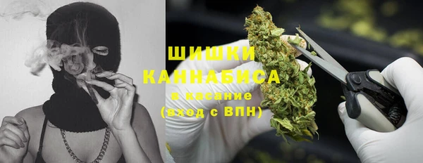 меф Богородицк