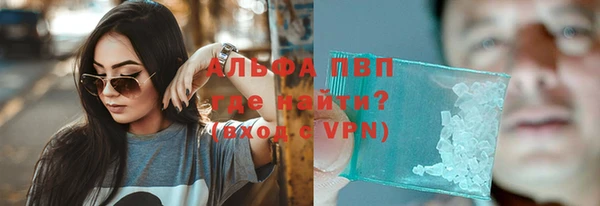 ешки Богданович