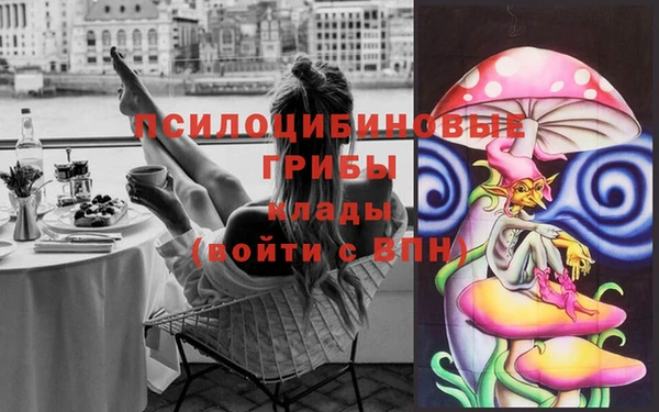 меф Богородицк