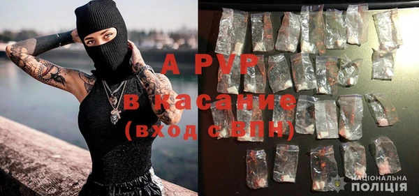 ешки Богданович