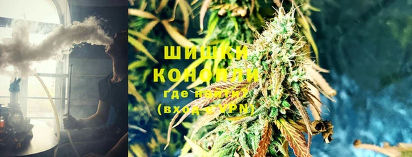 ешки Богданович