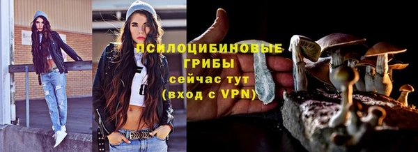герыч Богородск