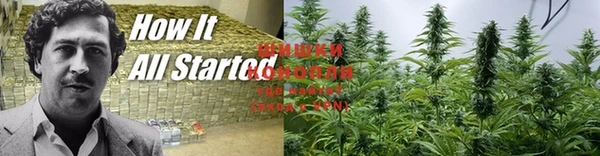 ешки Богданович