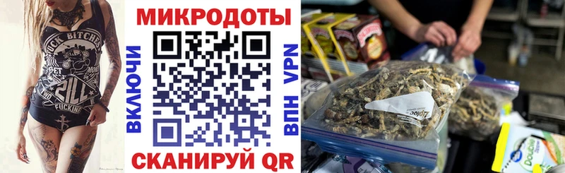 наркошоп  Казань  Галлюциногенные грибы Psilocybe 